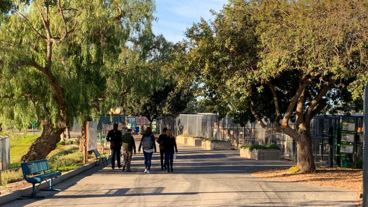 zoo grounds main walkway